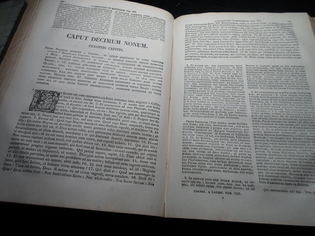 COMENTARII-IN SCRITURAM SACRAM-T-VIII-AÑO 1875-GRA