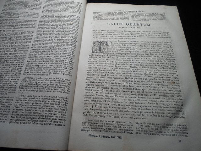 COMENTARII-IN SCRITURAM SACRAM-T-VIII-AÑO 1875-GRA