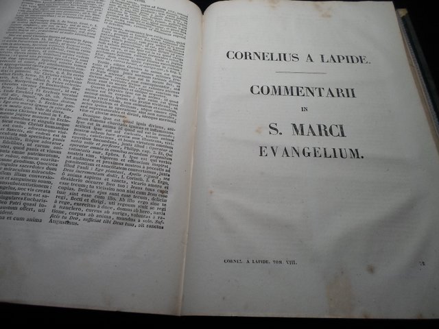 COMENTARII-IN SCRITURAM SACRAM-T-VIII-AÑO 1875-GRA