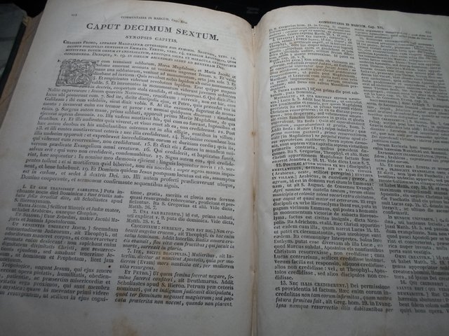 COMENTARII-IN SCRITURAM SACRAM-T-VIII-AÑO 1875-GRA