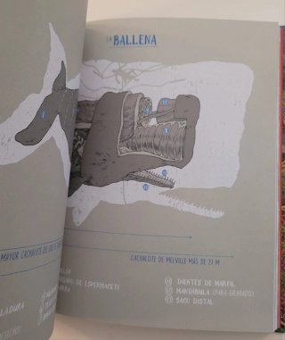 Trazado, Un atlas literario