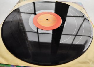 2 LP'S 1971 🇺🇸 THE REAL THING - TAJ MAHAL
