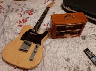 Amplificador de boutique para guitarra Mad Dog