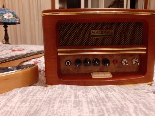 Amplificador de boutique para guitarra Mad Dog