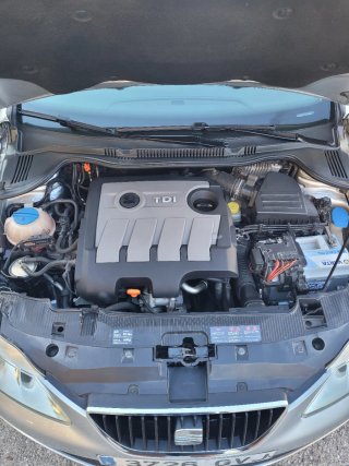 SEAT Ibiza 2010