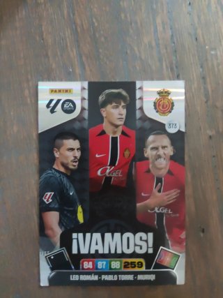 Venta de cromos Adrenalyn XL 25-26