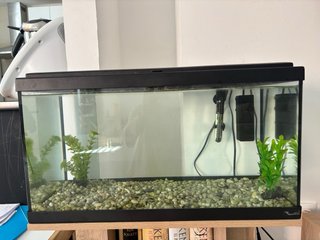 Acuario 58L con filtro y termómetro. Nuevo.