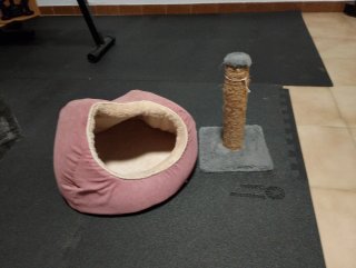 Cama para gato rosa y beige