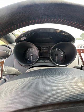 SEAT Ibiza Bocanegra | 2010