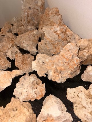 Lote rocas naturales acuario cíclidos africanos