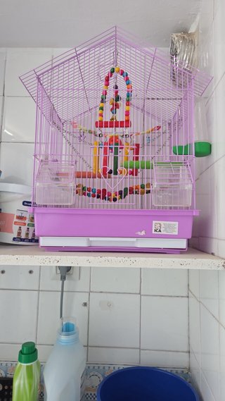 Jaula para pájaros morada y multicolor