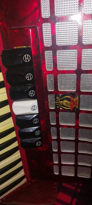 Acordeón Rojo con Estuche