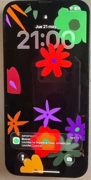 iPhone 14 Plus 256 GB Negro.