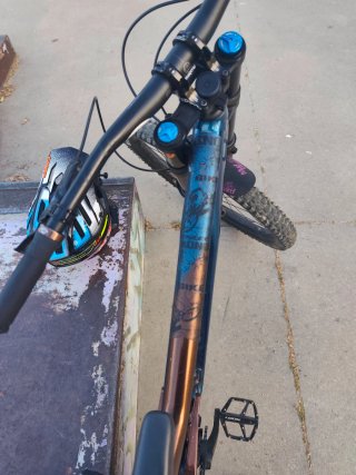Giant Reign SX Bicicleta descenso
