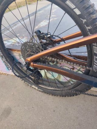 Giant Reign SX Bicicleta descenso