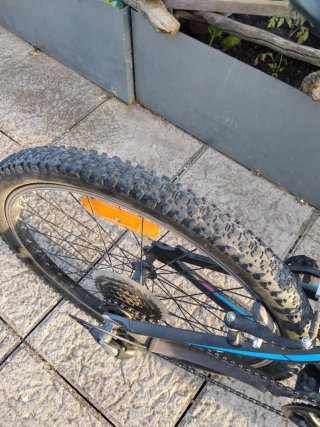 Bicicleta MTB Orbea 24"