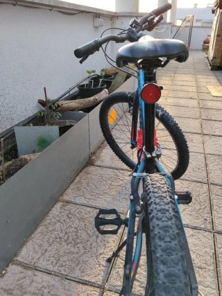 Bicicleta MTB Orbea 24"