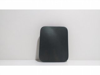 TAPA EXTERIOR COMBUSTIBLE 1962344 55483