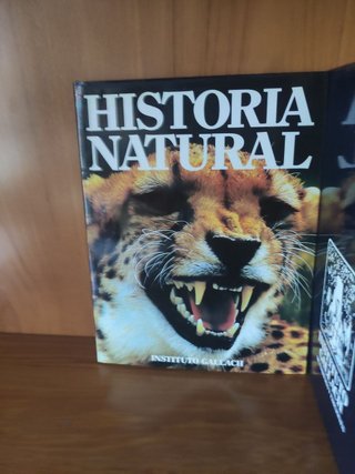 Historia Natural 12 Tomos - Océano/Gallach