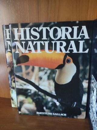 Historia Natural 12 Tomos - Océano/Gallach