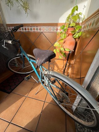 Bicicleta de paseo azul