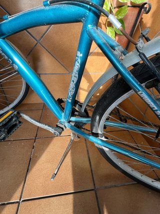 Bicicleta de paseo azul