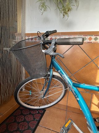 Bicicleta de paseo azul