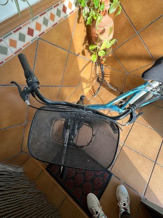 Bicicleta de paseo azul