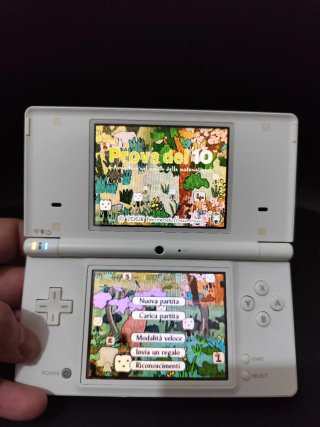 Nintendo DSi White perfettamente funzionante