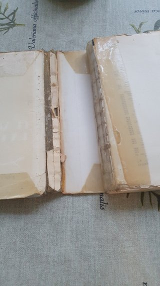 Libro El árbol de la ciencia.