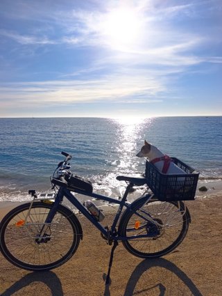 Bicicleta riverside touring 500 talla s