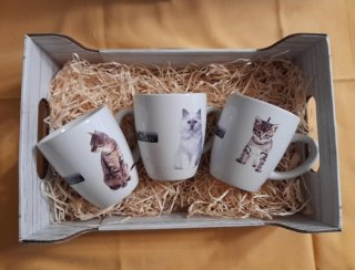Tris Tazze con Gattini in Ceramica