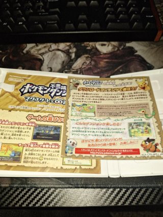 Pokemon Mundo Misterioso Puertas Infinito 3DS