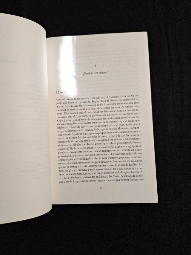 Simon Schama. La historia de los judíos vol. II
