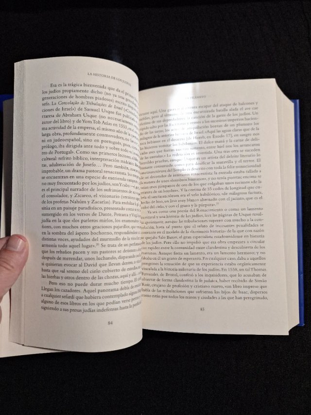 Simon Schama. La historia de los judíos vol. II