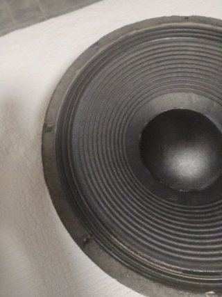 Altavoz EV 15 Negro