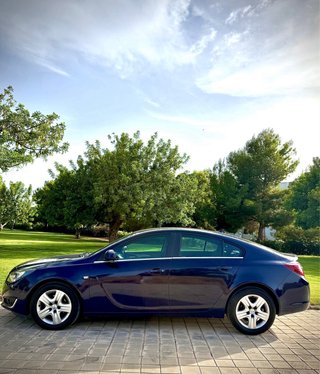 Opel Insignia 2014 (Distintivo ECO) 177,23€/MES
