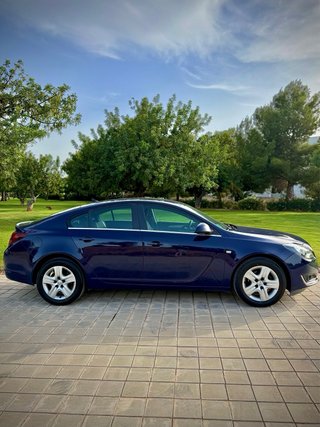 Opel Insignia 2014 (Distintivo ECO) 177,23€/MES