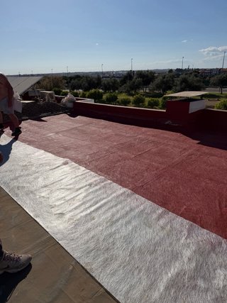 pintor económico