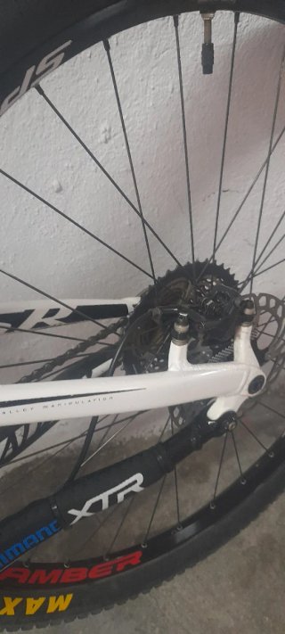 Specialized Camber Carbono 29