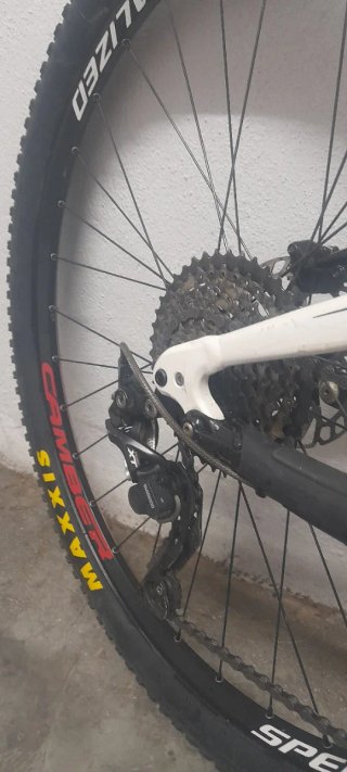 Specialized Camber Carbono 29