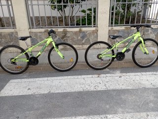 Bicicleta Neon X-Team Pro 24