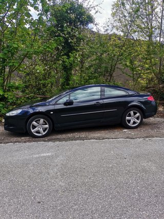 Peugeot 407 coupe 2008