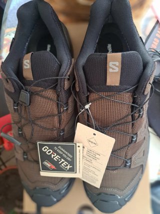 Zapatillas Salomon Gore-Tex Marrón/Gris