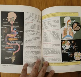 Ciencias de la naturaleza 8. 1974 Libro antiguo