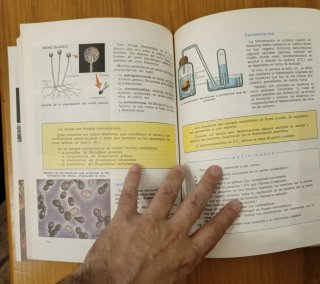 Ciencias de la naturaleza 8. 1974 Libro antiguo