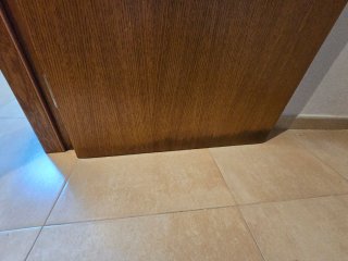 2 Puertas de Madera