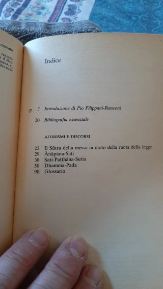 Buddha Aforismi e Discorsi di Pio Filippani-Roncon
