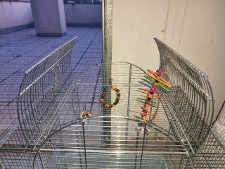 Jaula para agapornis con accesorios Kiwoko