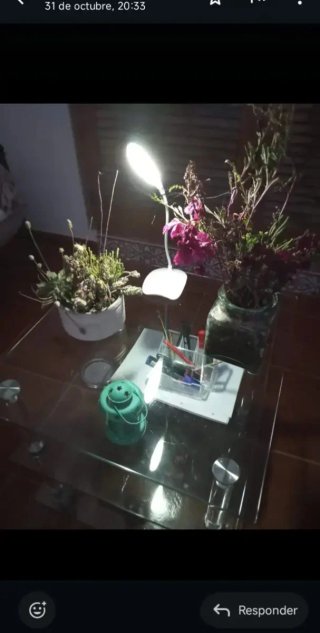 Familia cuida niños en su bungalow los findes